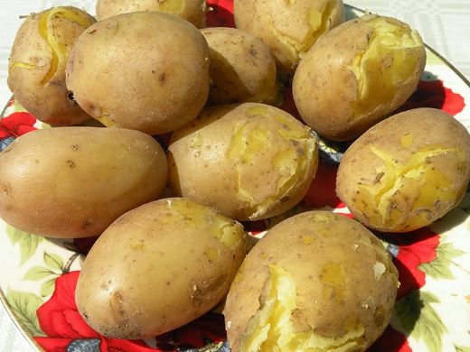 Fırında Haşlanmış Patates Tarifi ve Malzemeleri